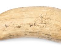 A Large Scrimshaw Whale Tooth Worked On The Whaler Atlantic