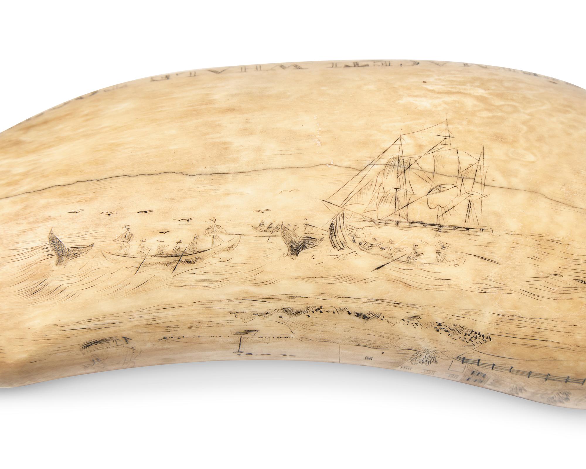 A Large Scrimshaw Whale Tooth Worked On The Whaler Atlantic