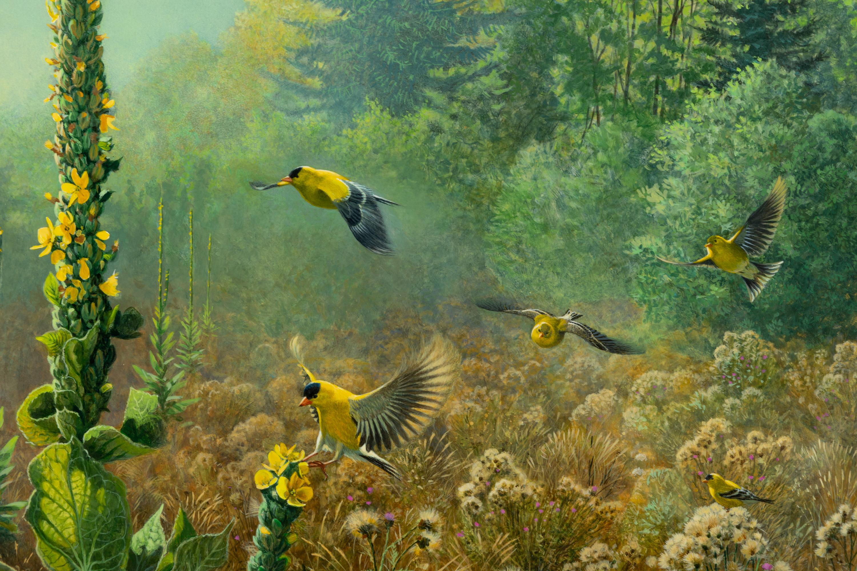 Meadow Dancing, 2000