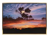 Transparent Barricades: Sunset and Moonrise