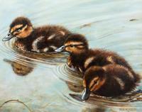 Three Babes , 2005