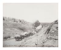 [WESTERN AMERICANA]. HUFFMAN, L.A., photog. “Jerk-line twelve” on the old freight road .