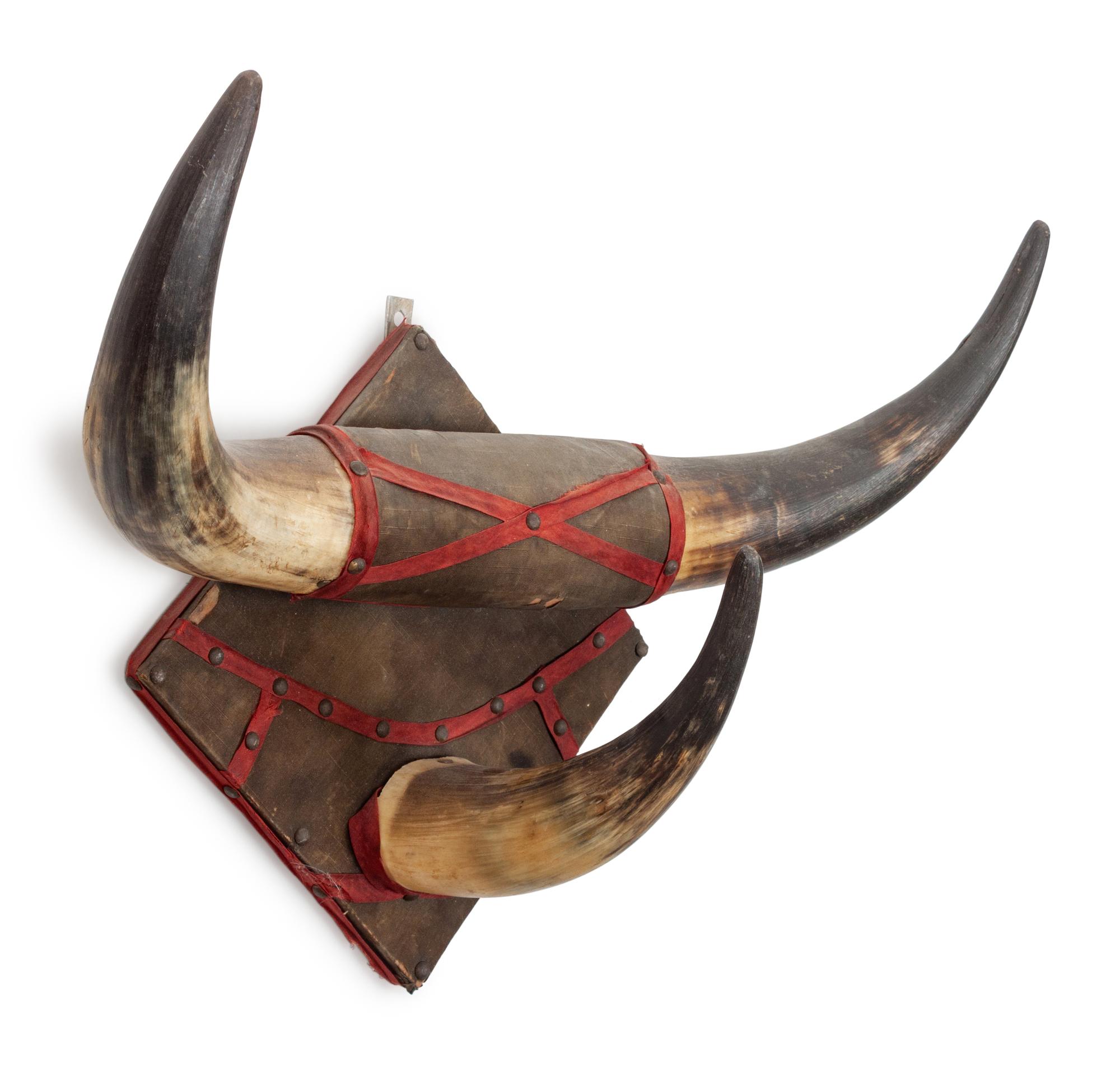 Four Decorative Longhorn Mounts