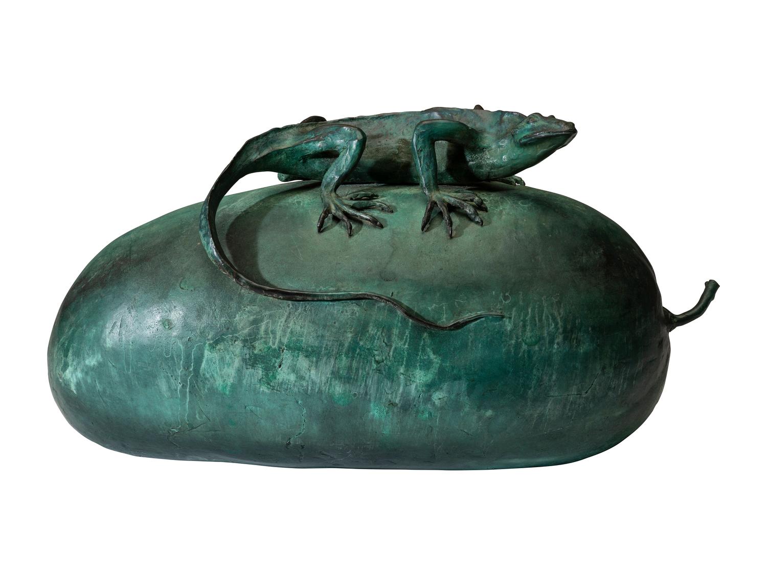 A Bronze Lizard and Drift Seed