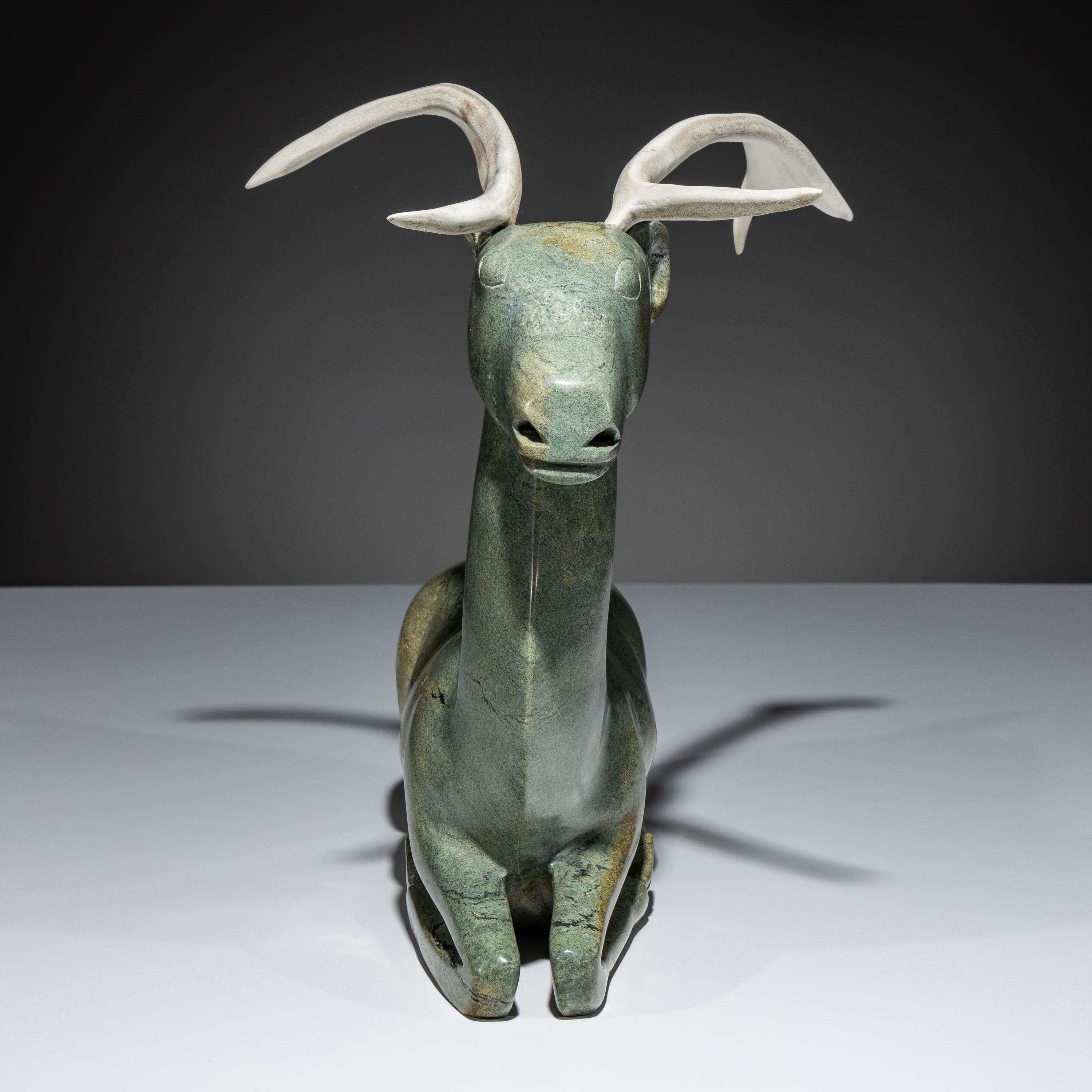 Caribou