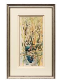 In the Reeds