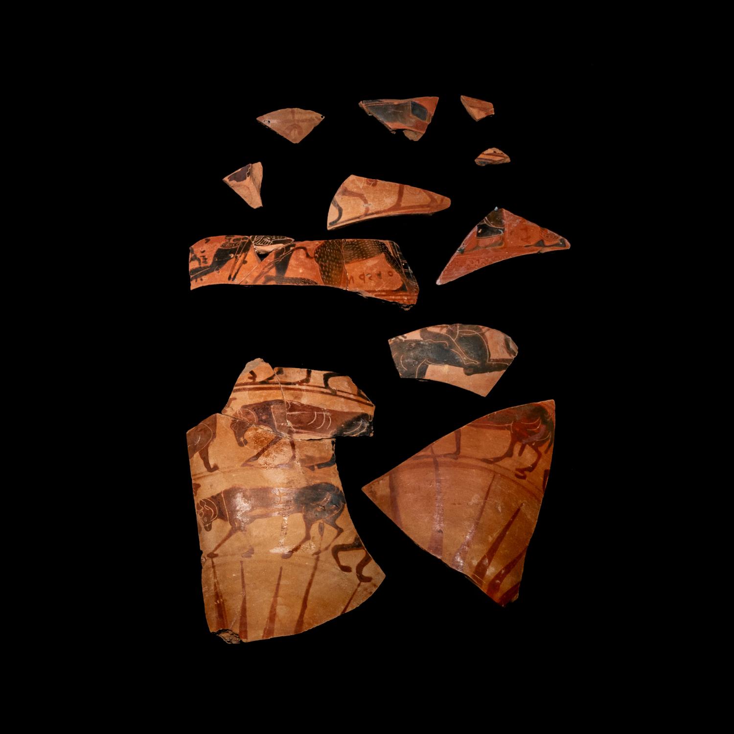 36 Attic Black-Figured Tyrrhenian Amphora Fragments