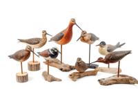 Eight Carved and Polychrome Painted Shorebirds
