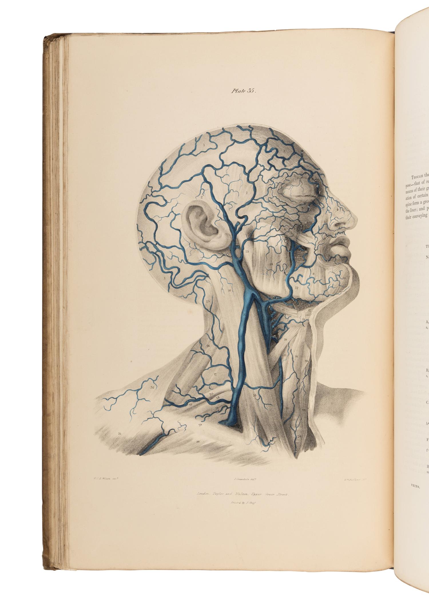 QUAIN, Jones (1796-1865), and William James Erasmus WILSON (1809-1884), editors. The Vessels of the Human Body; In a Series of Plates, with References and Physiological Comments . London: Taylor and Walton, 1837.