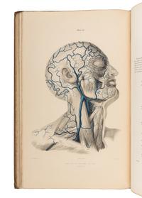 QUAIN, Jones (1796-1865), and William James Erasmus WILSON (1809-1884), editors. The Vessels of the Human Body; In a Series of Plates, with References and Physiological Comments . London: Taylor and Walton, 1837.
