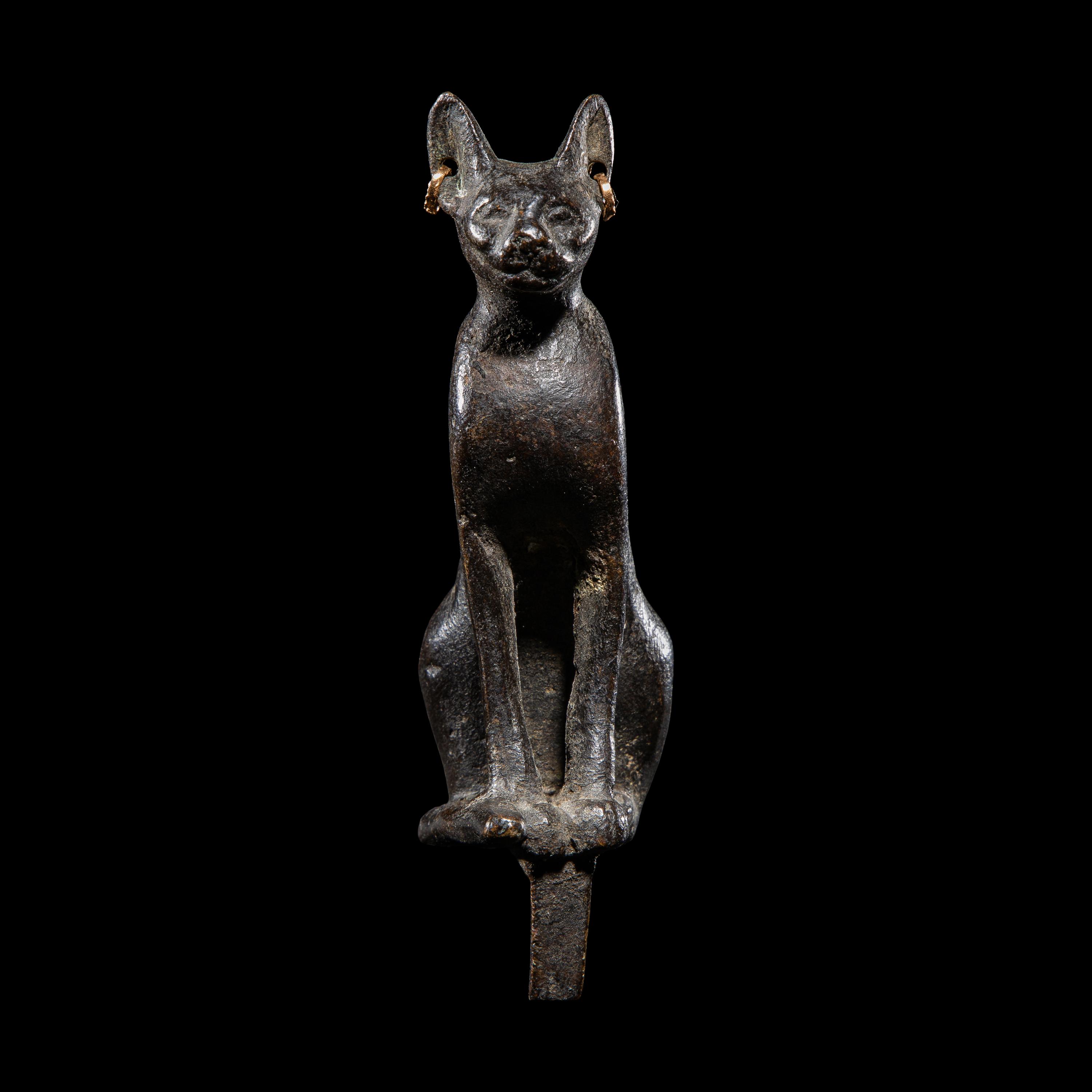 An Egyptian Bronze Cat