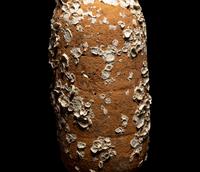 A Roman Terracotta Export Amphora with Marine Encrustation