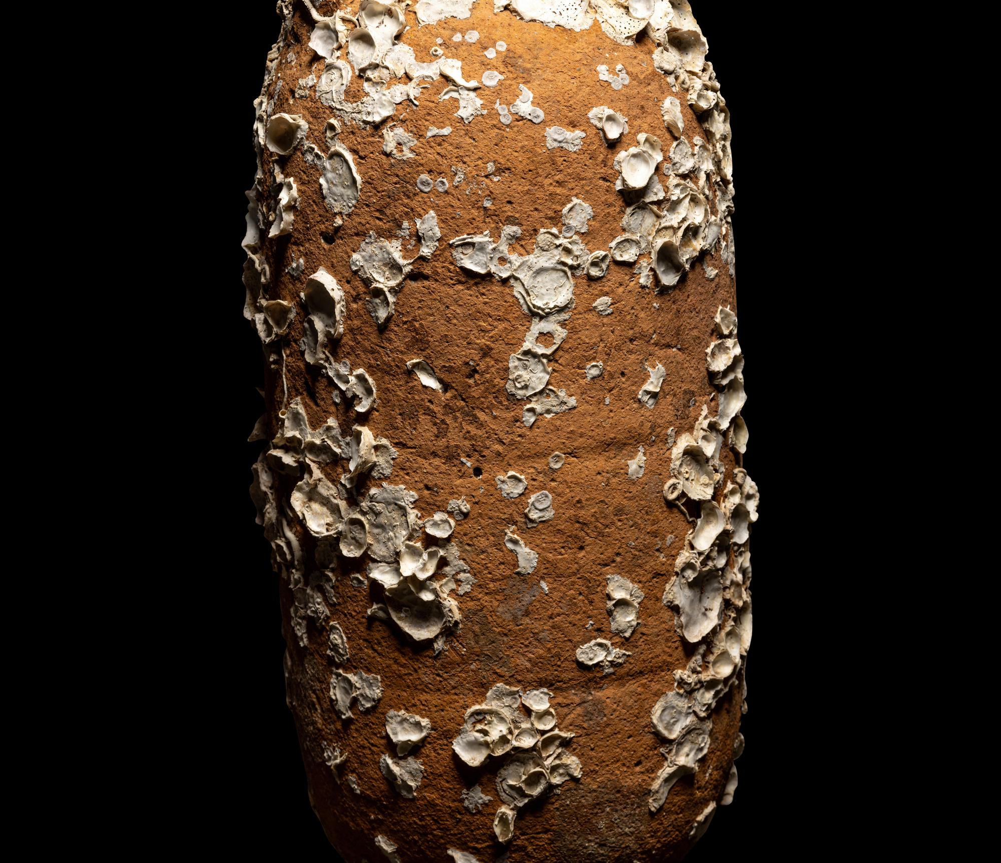 A Roman Terracotta Export Amphora with Marine Encrustation