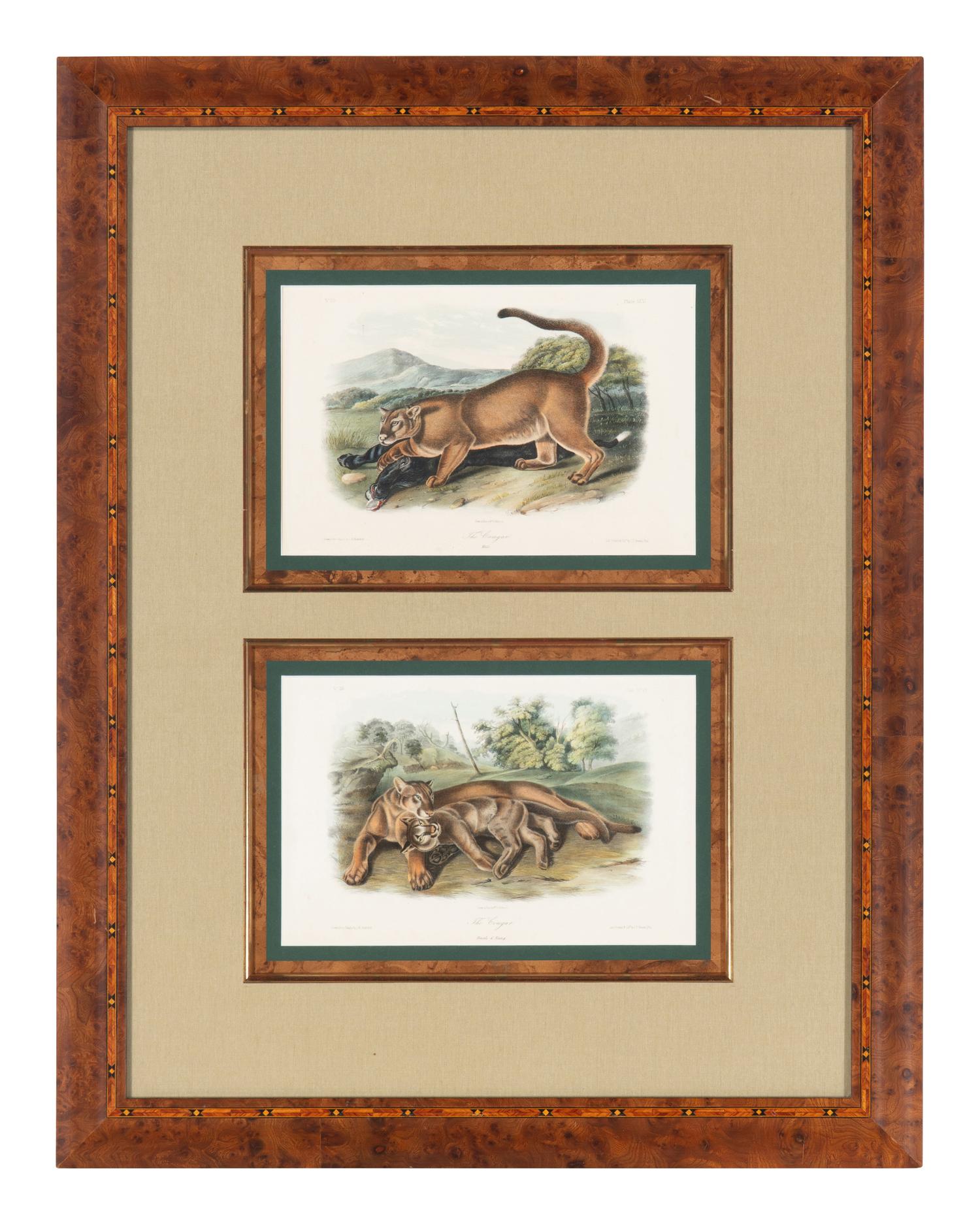 [Prints] Audubon, John James Group of 6 Lithographs from the Quadrupeds of America