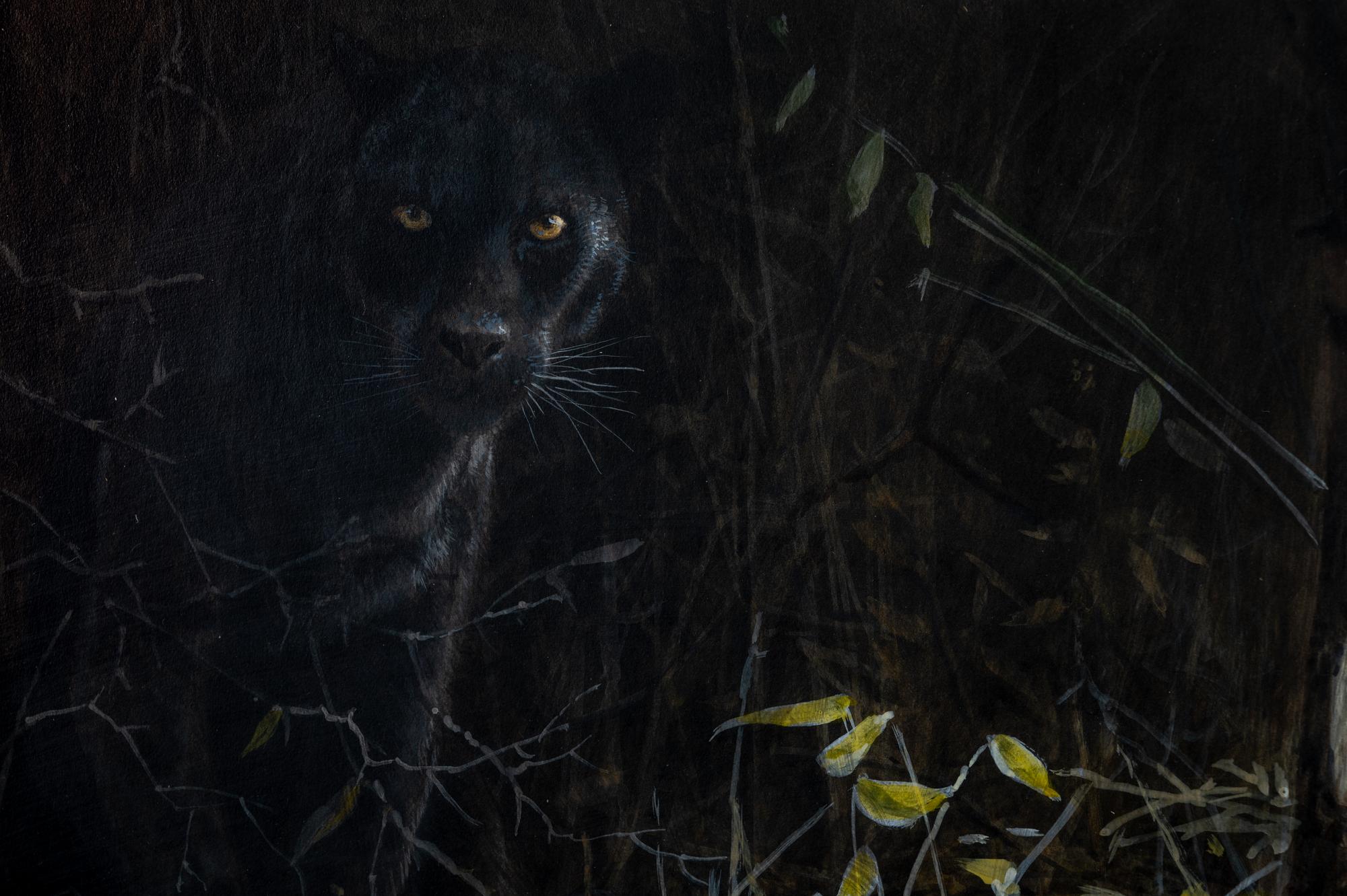 Black Leopard