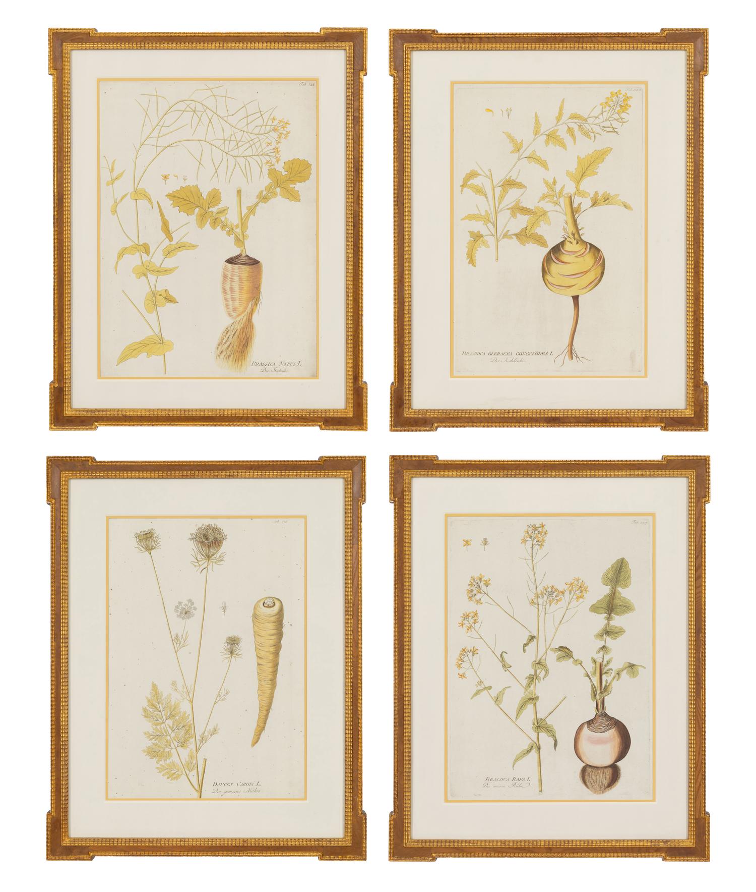 A Set of Four Botanical Prints in Gilt Frames