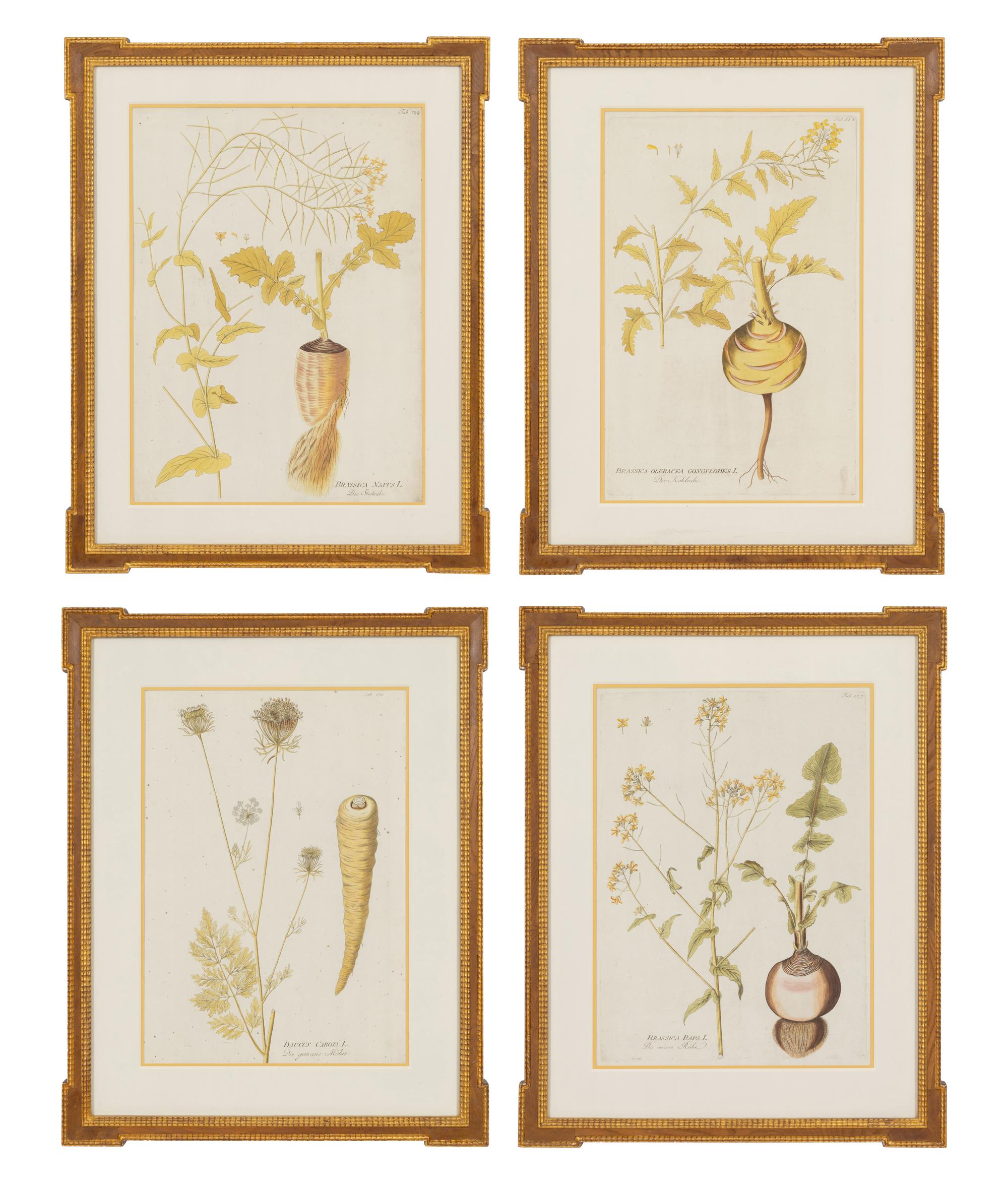 A Set of Four Botanical Prints in Gilt Frames