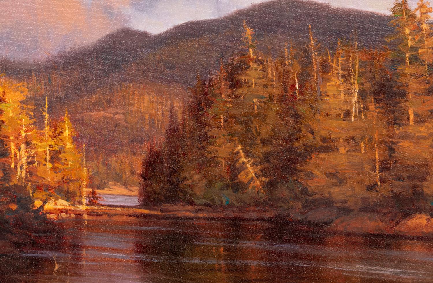 Light After the Storm