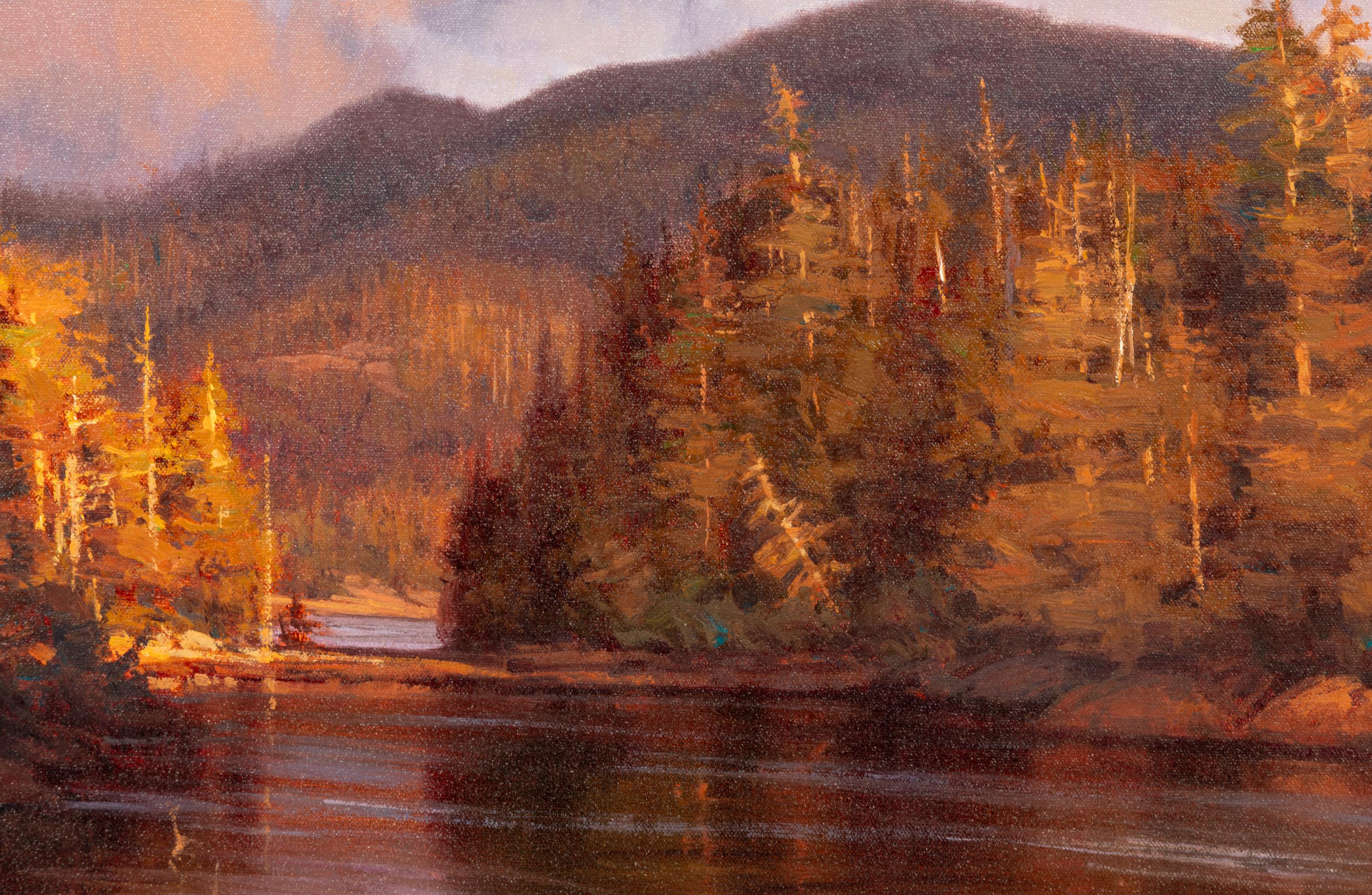 Light After the Storm
