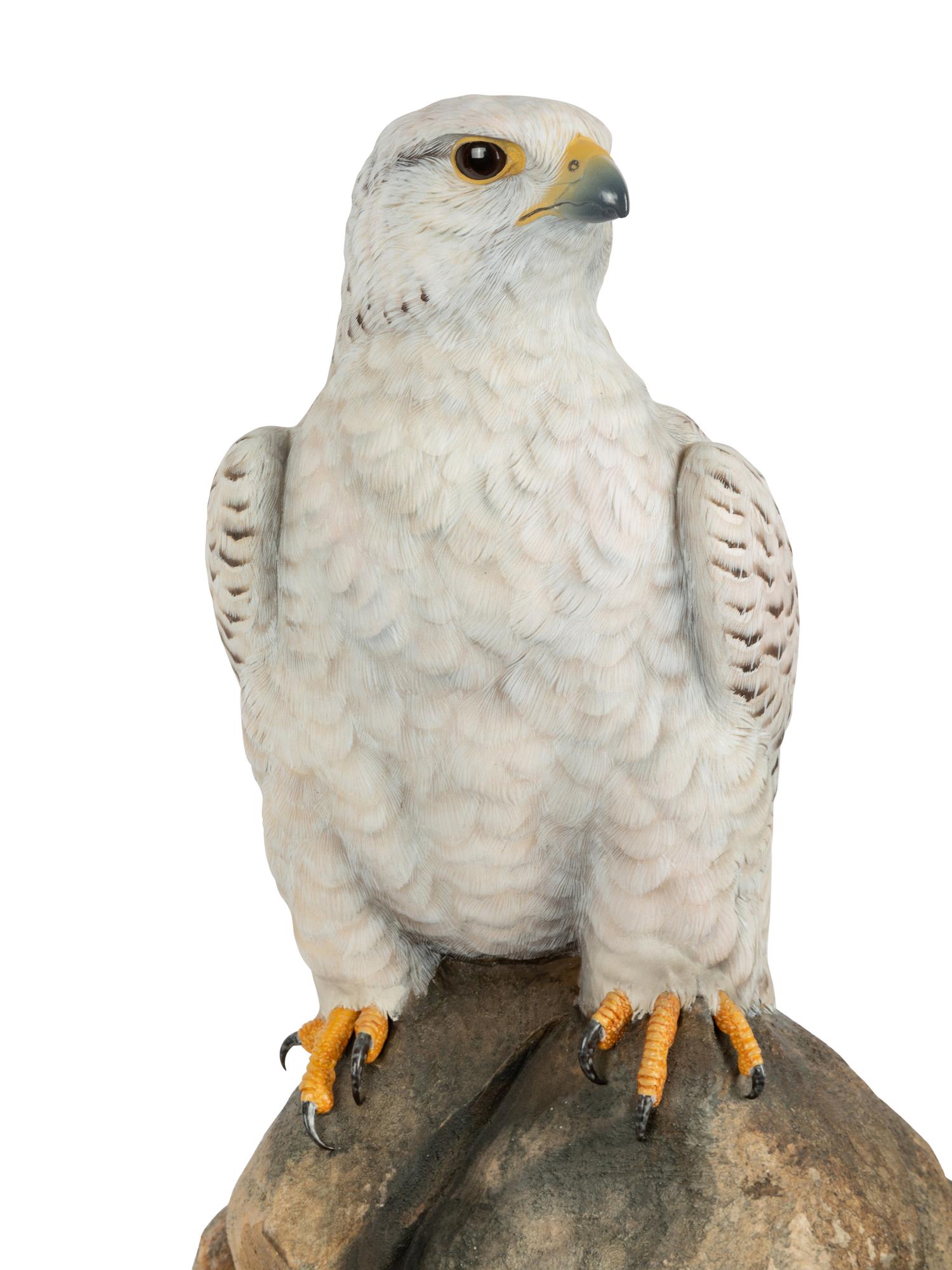Dignity - Icelandic Gyrfalcon