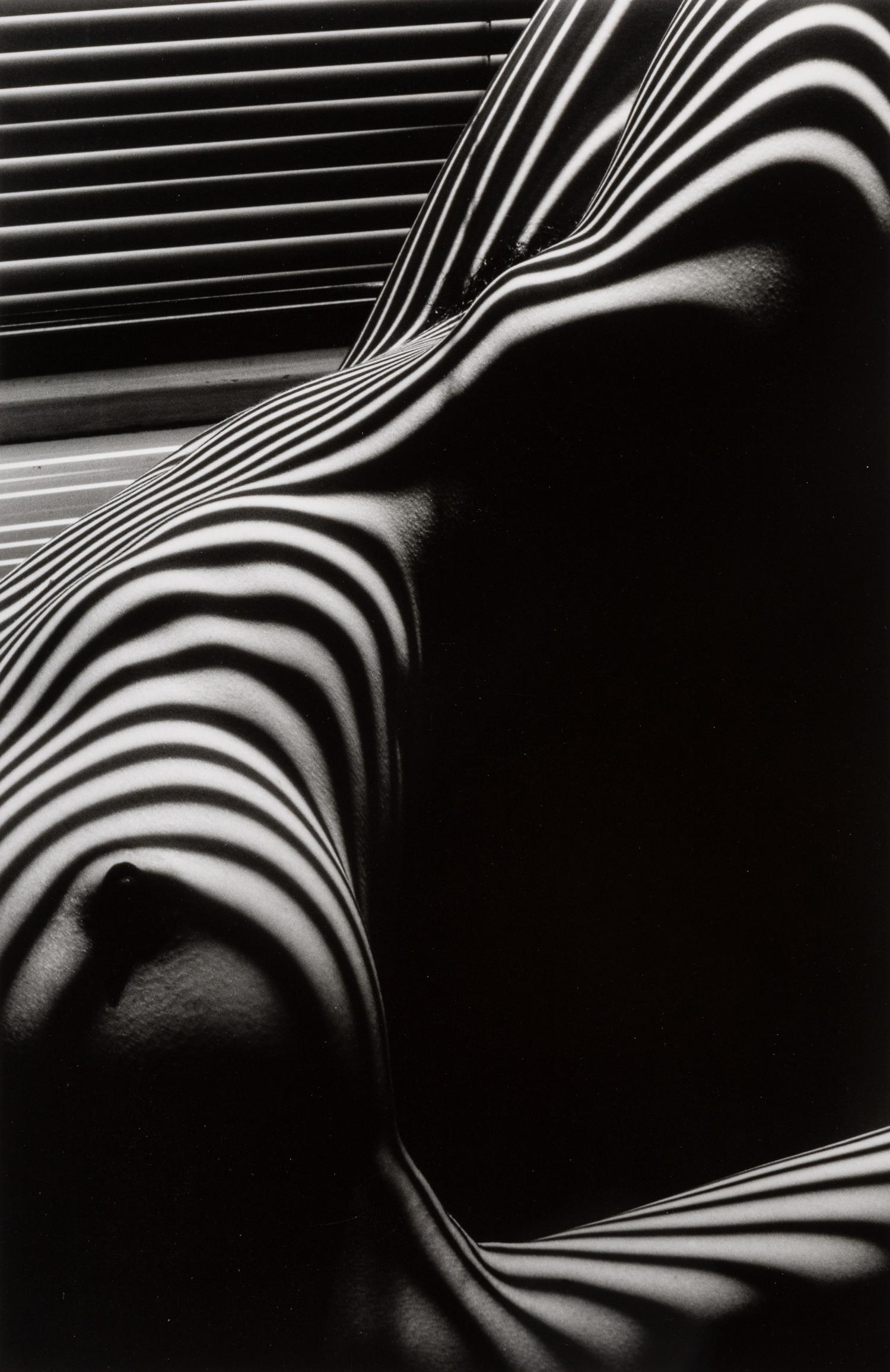 Lucien Clergue (1934-2014) Nu Zèbre, New York, 1997