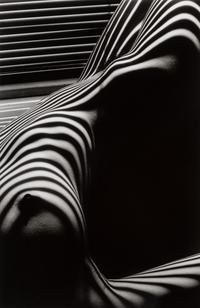 Lucien Clergue (1934-2014) Nu Zèbre, New York, 1997