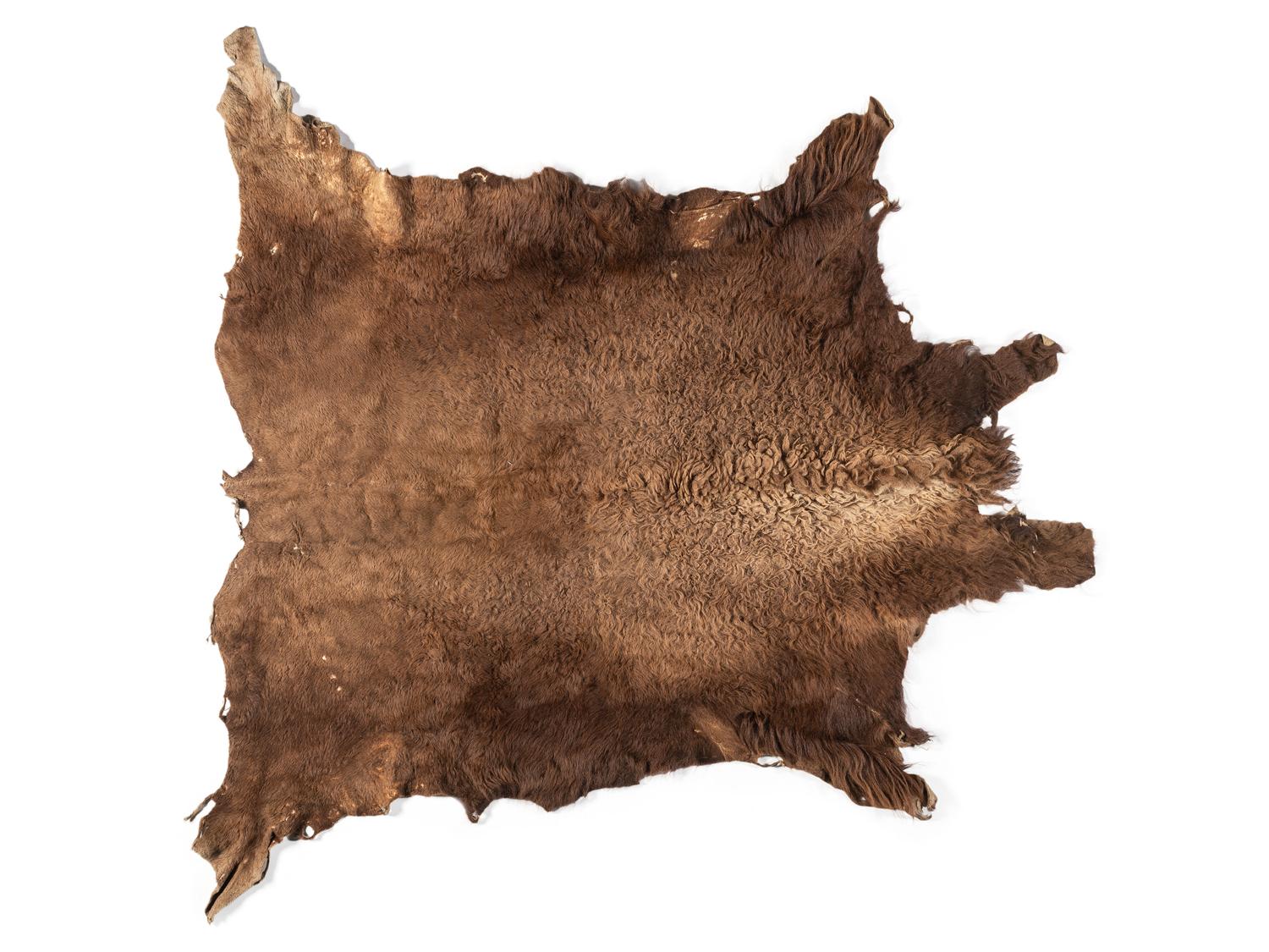 Early Southern Plains Painted Buffalo Hide Robe, Likely Comanche
