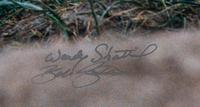 Prairie Vision: Images from a Sea of Grass (2002) Twenty Color Photographs