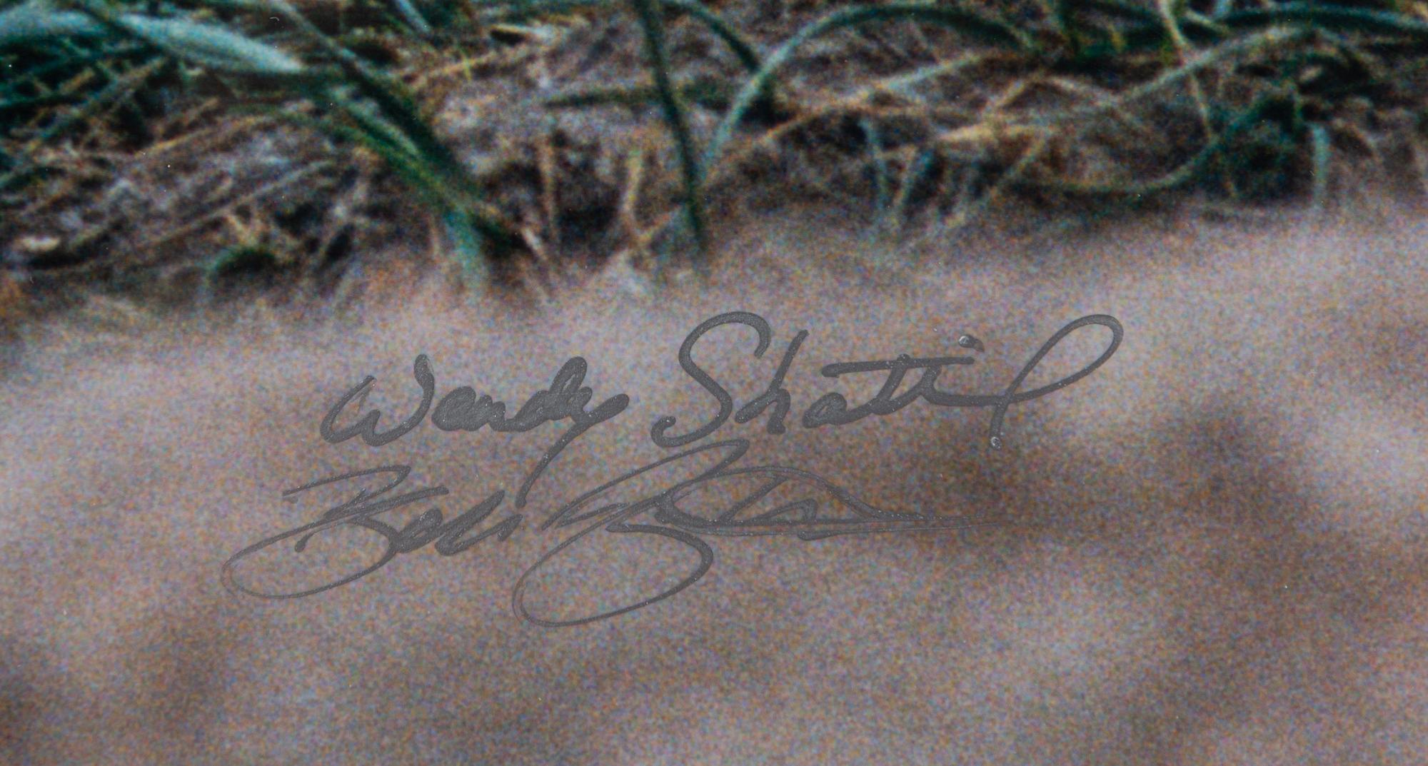 Prairie Vision: Images from a Sea of Grass (2002) Twenty Color Photographs