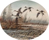 Flying Geese