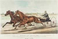 CURRIER & IVES. The Celebrated Trotting Team Edward and Swiveller... NY, 1882. Litho. w/hand-coloring.