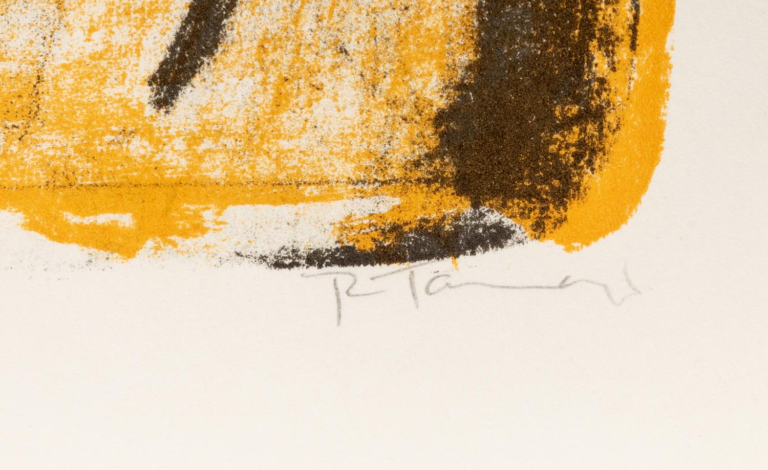 Torse de Femme (from Mujeres ), 1969