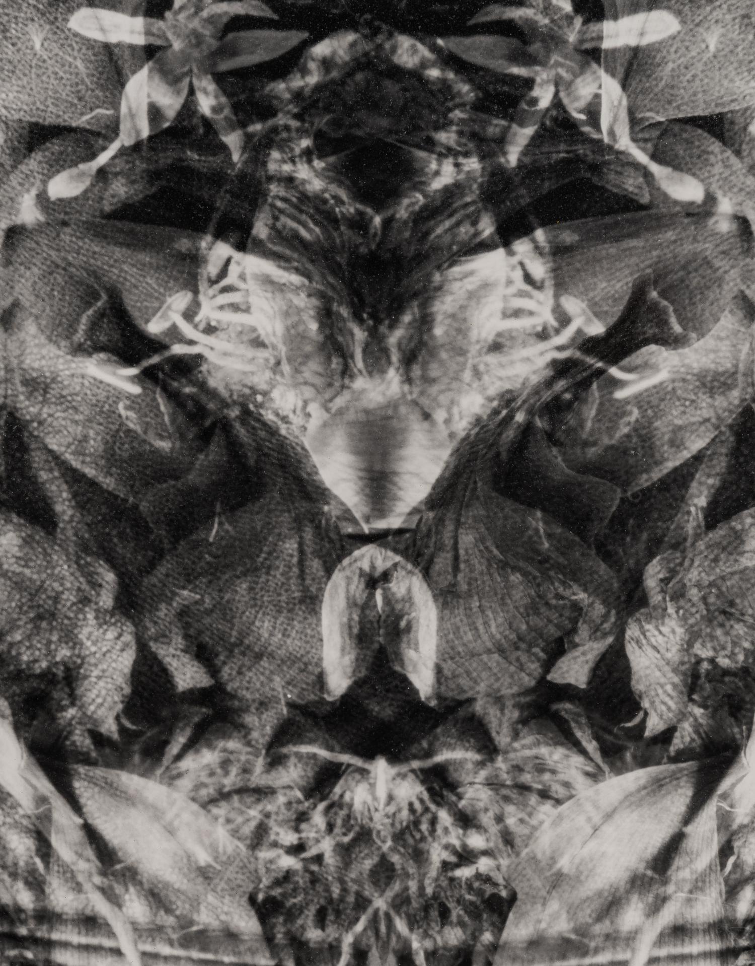 Betsy Molnar (20th/21st century) Gaea, 1995