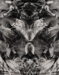 Betsy Molnar (20th/21st century) Gaea, 1995