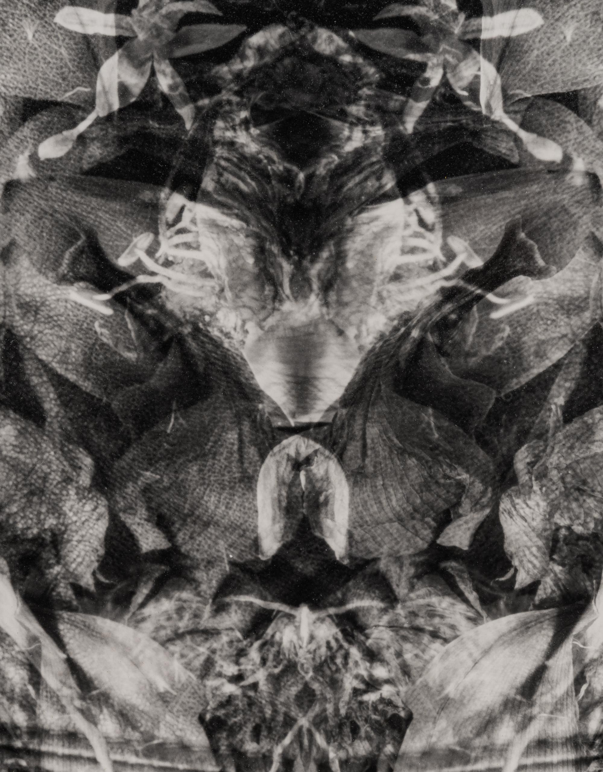 Betsy Molnar (20th/21st century) Gaea, 1995