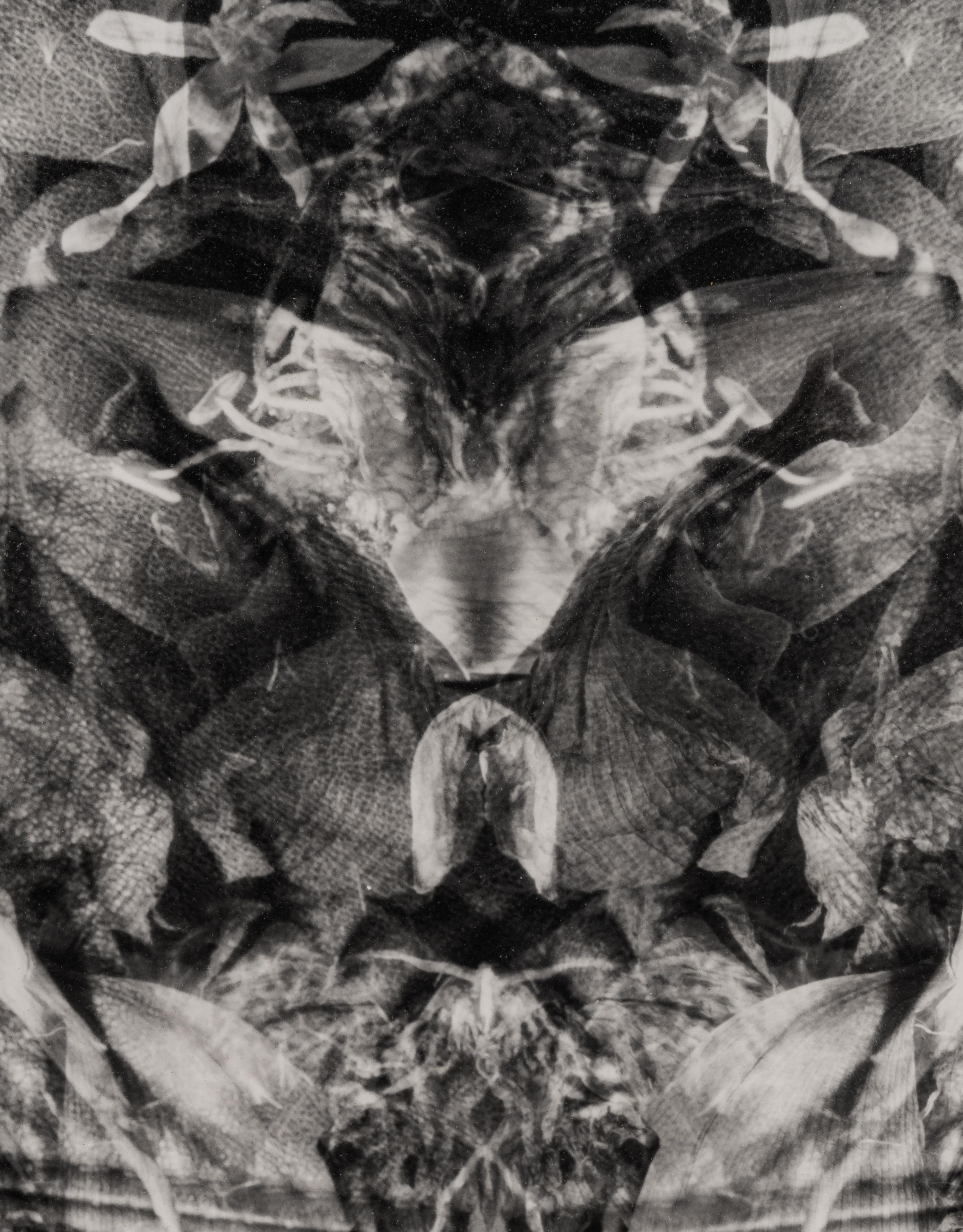 Betsy Molnar (20th/21st century) Gaea, 1995