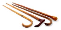 A Group of Eight Carved Wood Canes