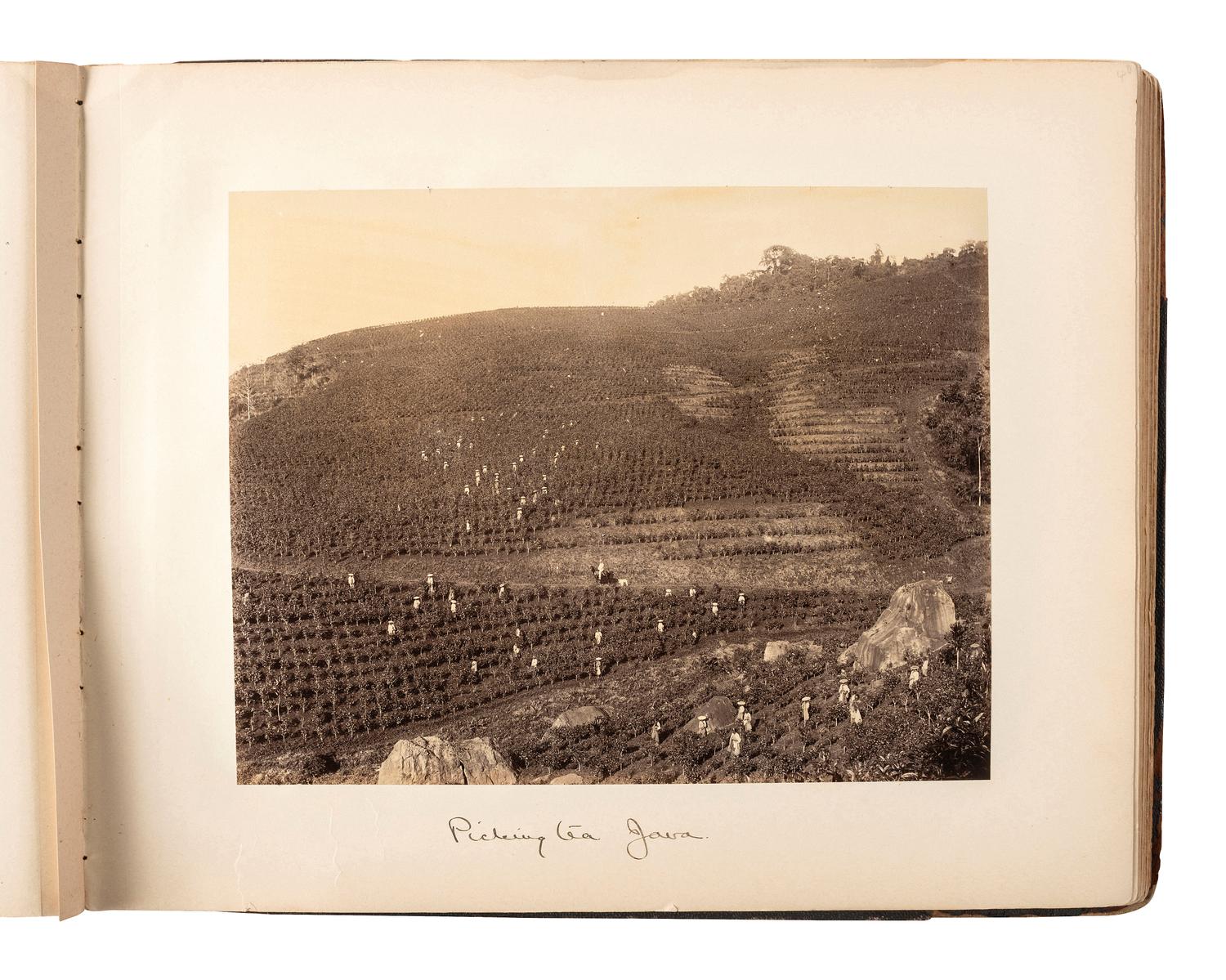 [EARLY PHOTOGRAPHY] -- [INDONESIA]. Album containing photographs of Java [Dutch East Indies]. Ca 1860s.