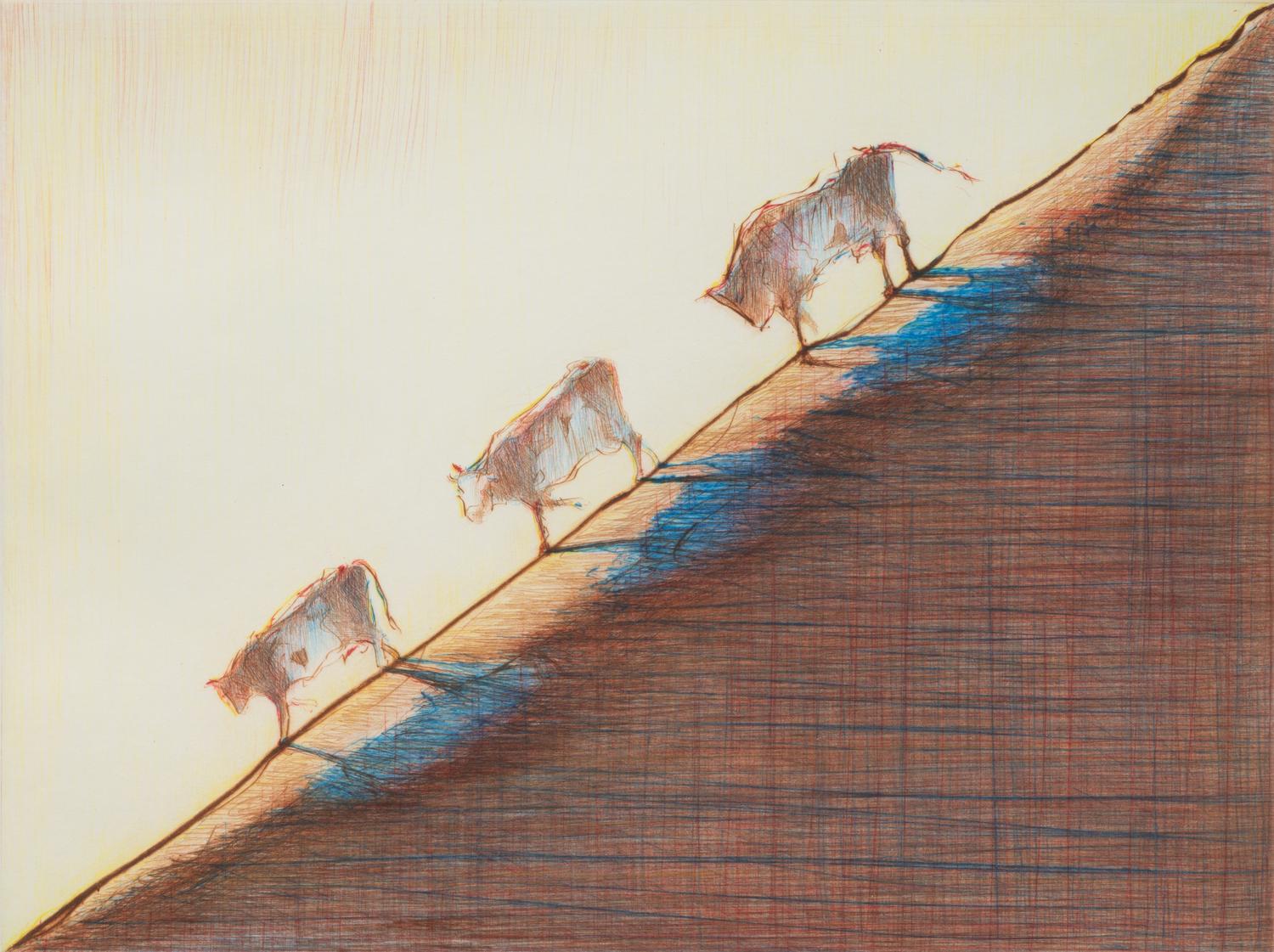 Three Cows