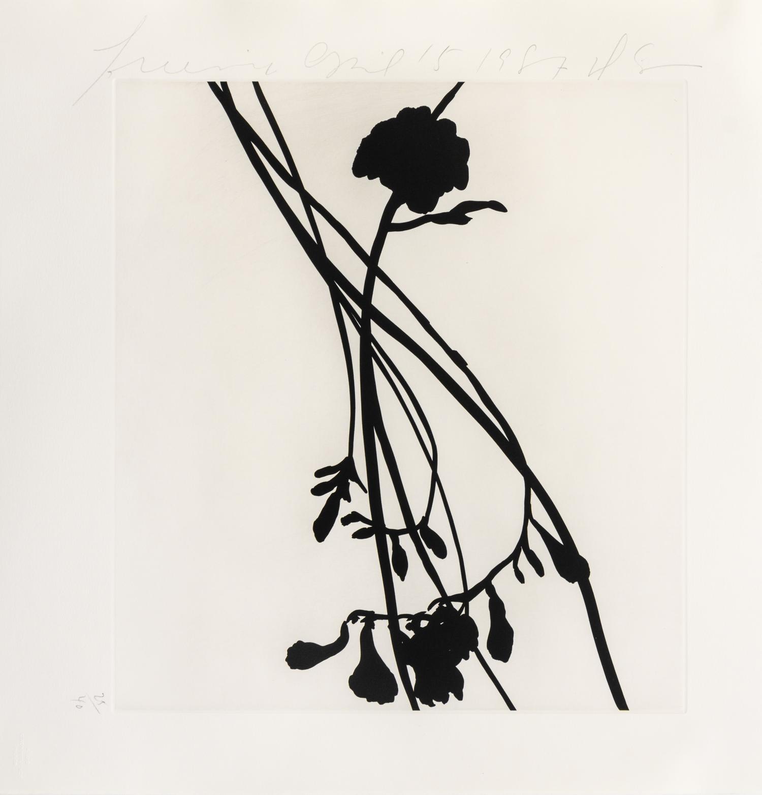 Donald Sultan, (American, b. 1951), Black Freesias, 1987 (portfolio of 6)