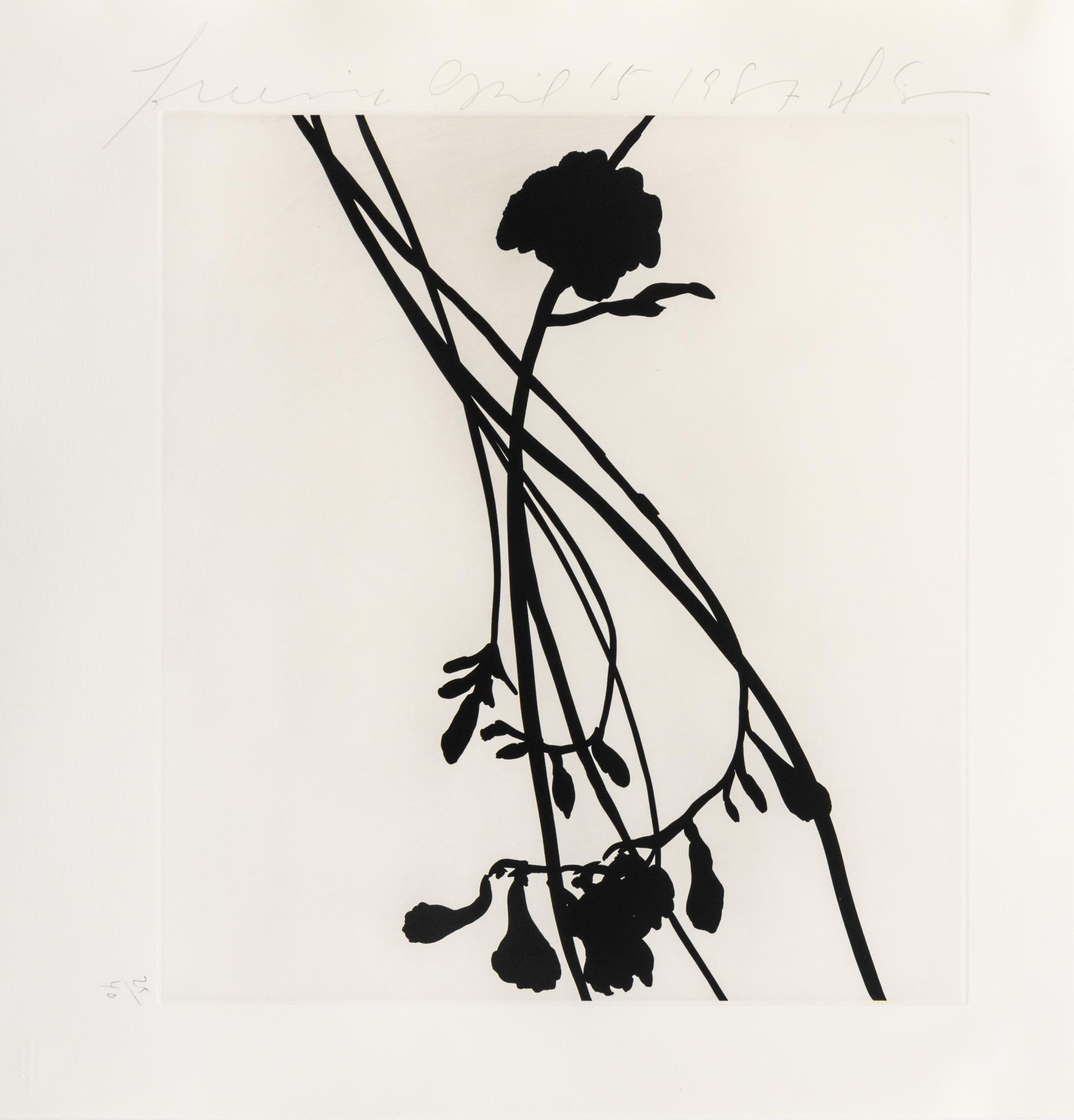 Donald Sultan, (American, b. 1951), Black Freesias, 1987 (portfolio of 6)