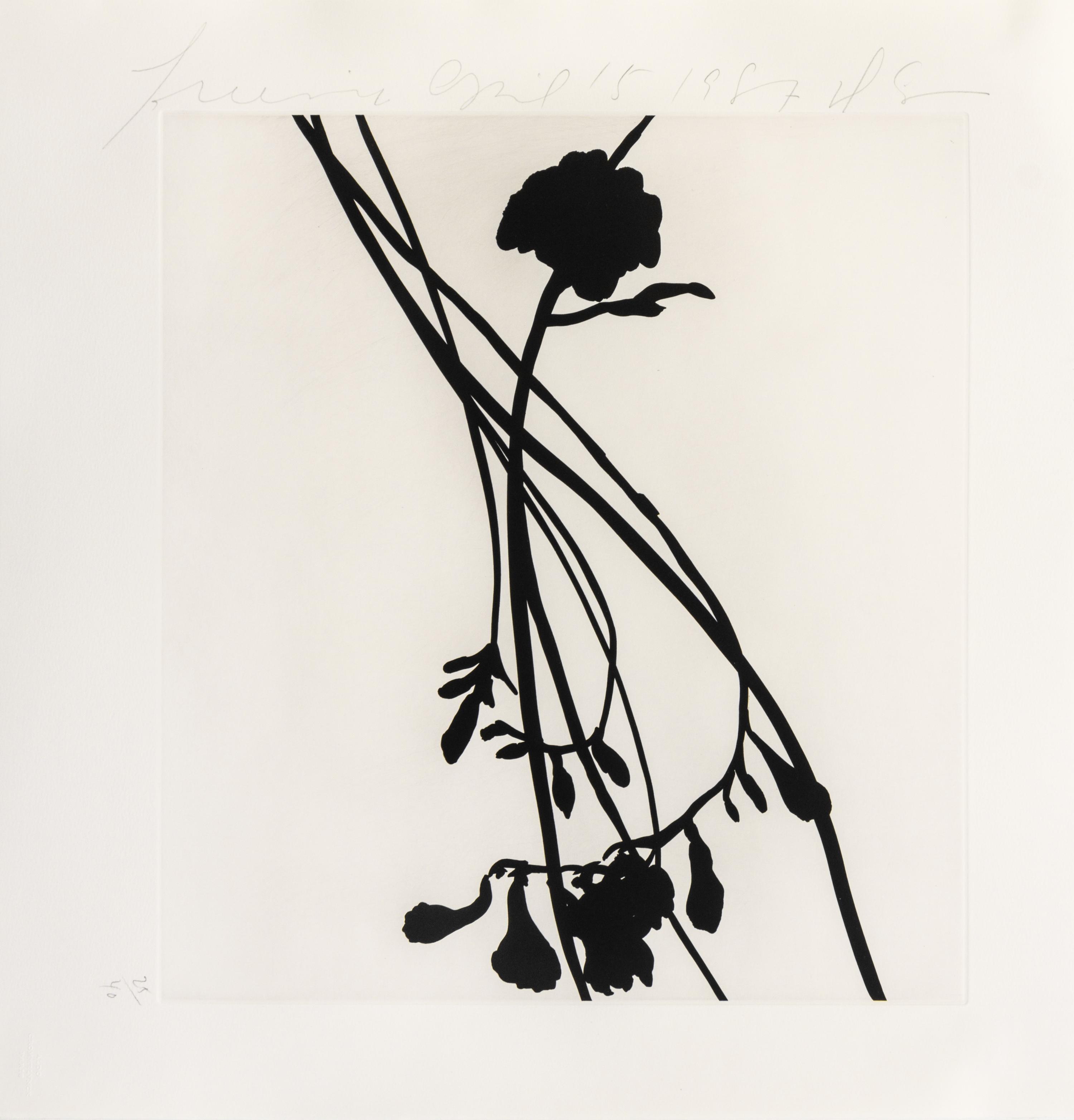 Donald Sultan, (American, b. 1951), Black Freesias, 1987 (portfolio of 6)