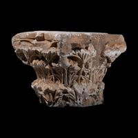 A Late Roman Marble Capital