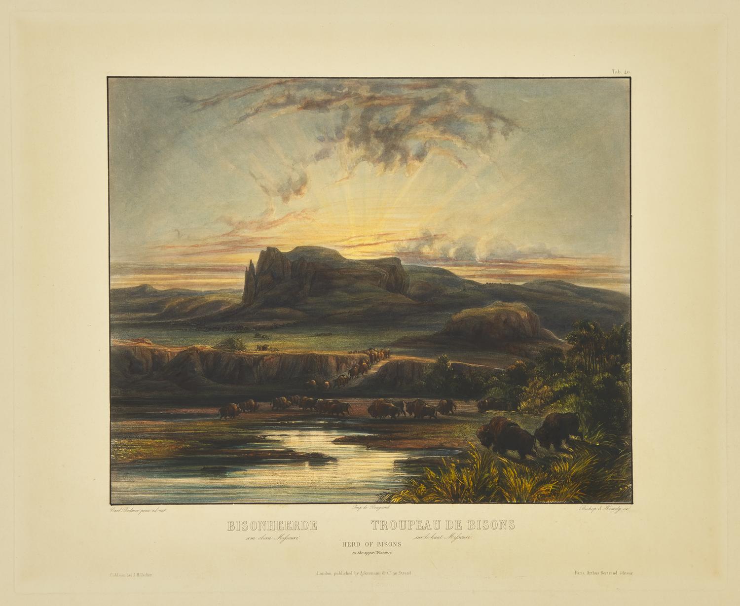 [Native-Americana] Bodmer, Karl. Bisonheerde...Herd of Bisons on the upper Missouri