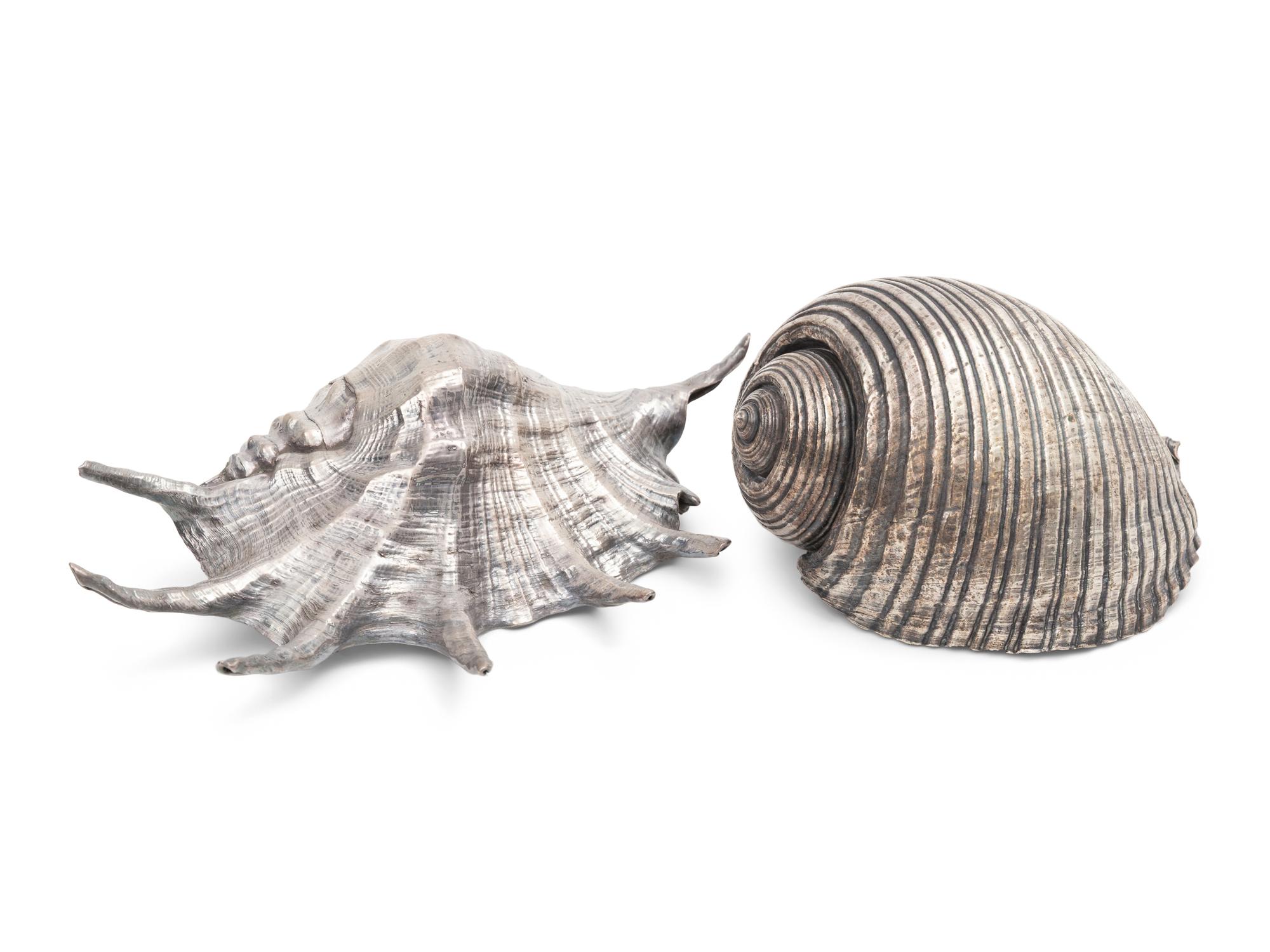 Two Silvered Seashells