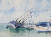 Beached Boats