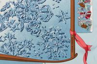 Two Hermès Scarves