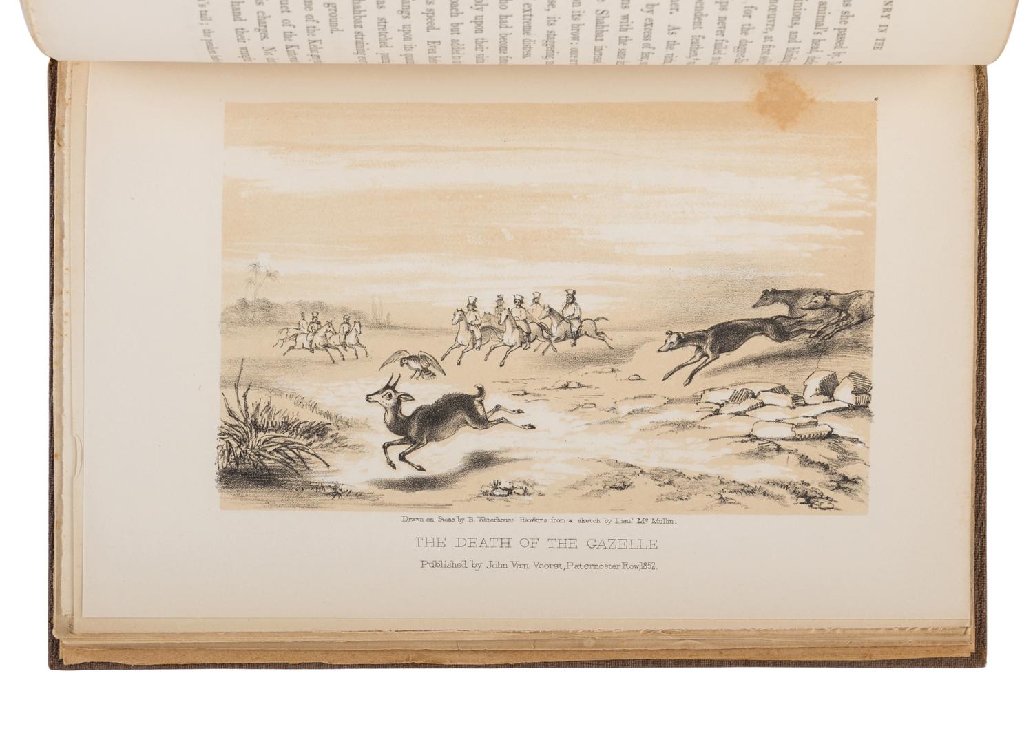 BURTON, Richard Francis, Sir (1821-1890). Falconry in the Valley of the Indus . London: John Van Voorst, 1852.