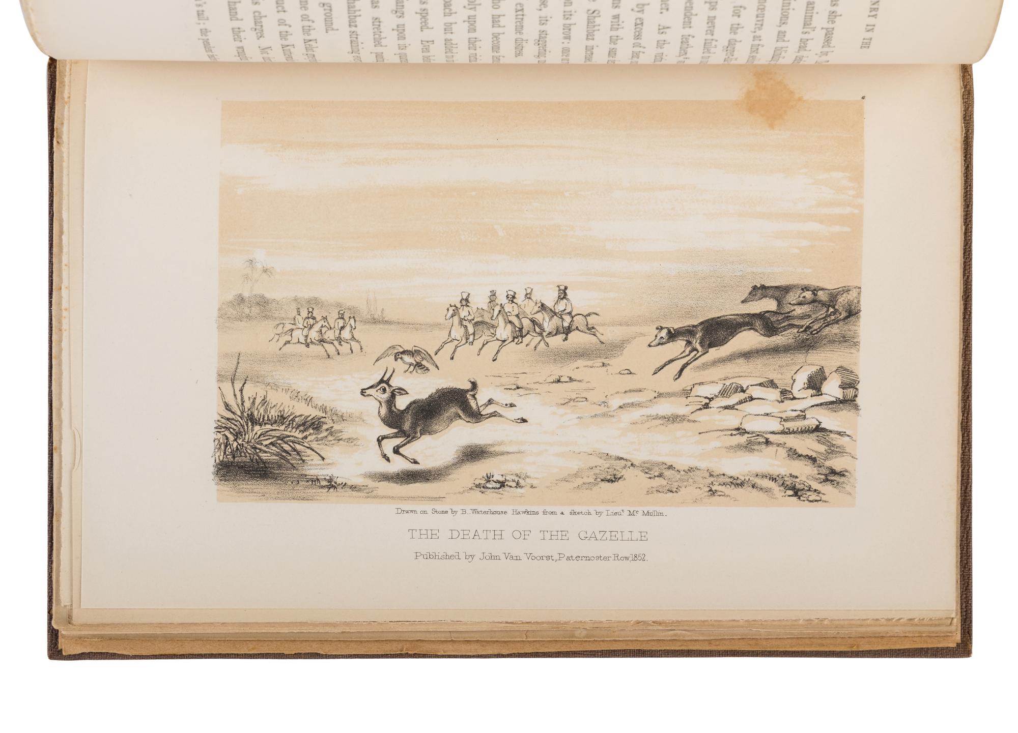 BURTON, Richard Francis, Sir (1821-1890). Falconry in the Valley of the Indus . London: John Van Voorst, 1852.