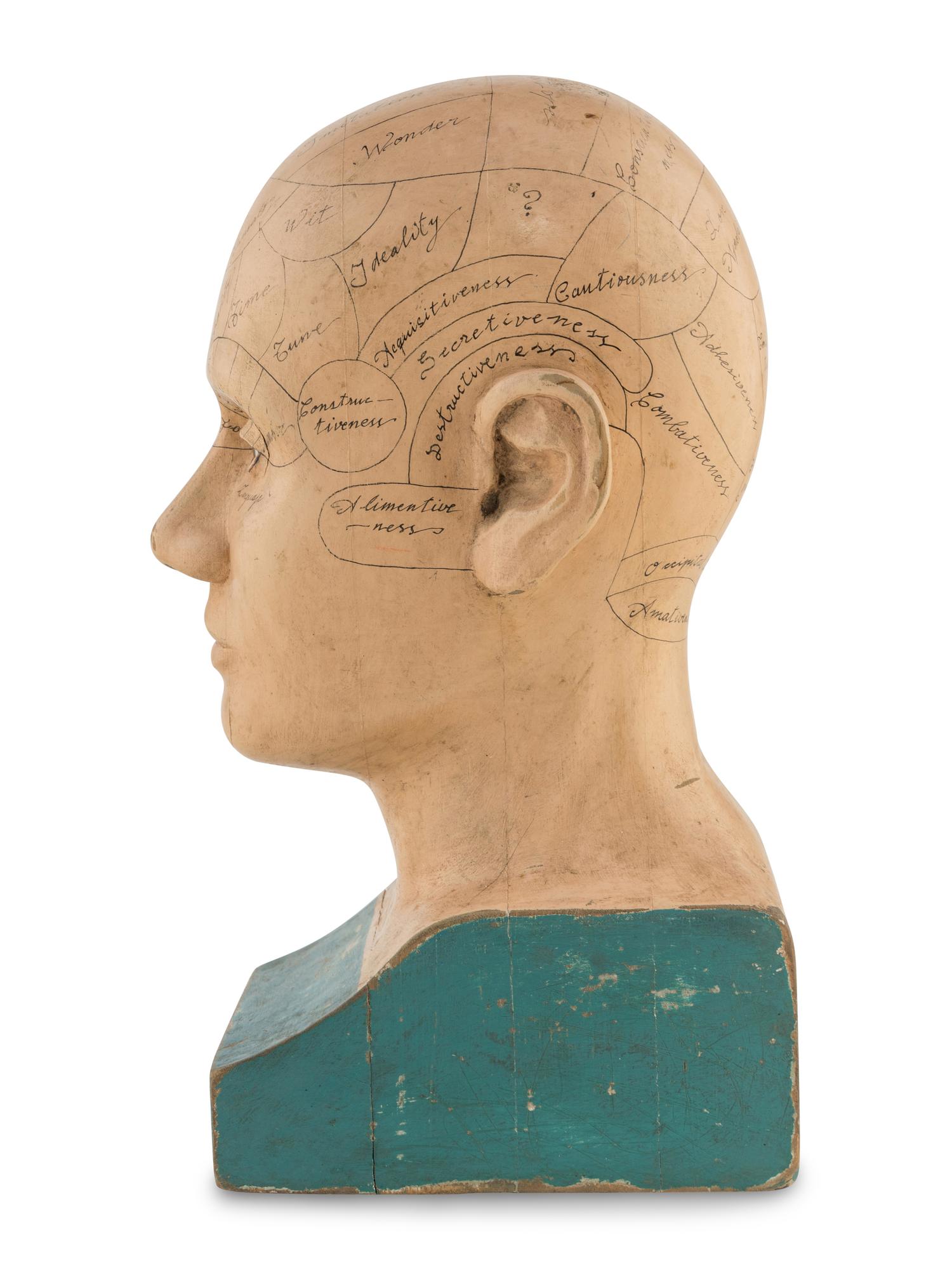 A Carved and Painted Wood Phrenology Head
